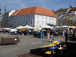 Zelný trh a divadlo Reduta